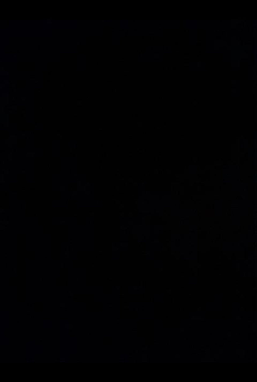 Melitta Pyramide filter 202 S